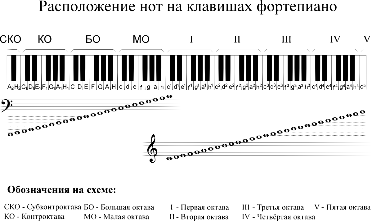 Количество октав. Расположение нот на пианино 88 клавиш. Схема синтезатора 1 Октава. Расположение нот на пианино по октавам для начинающих. Схема клавиш фортепиано.