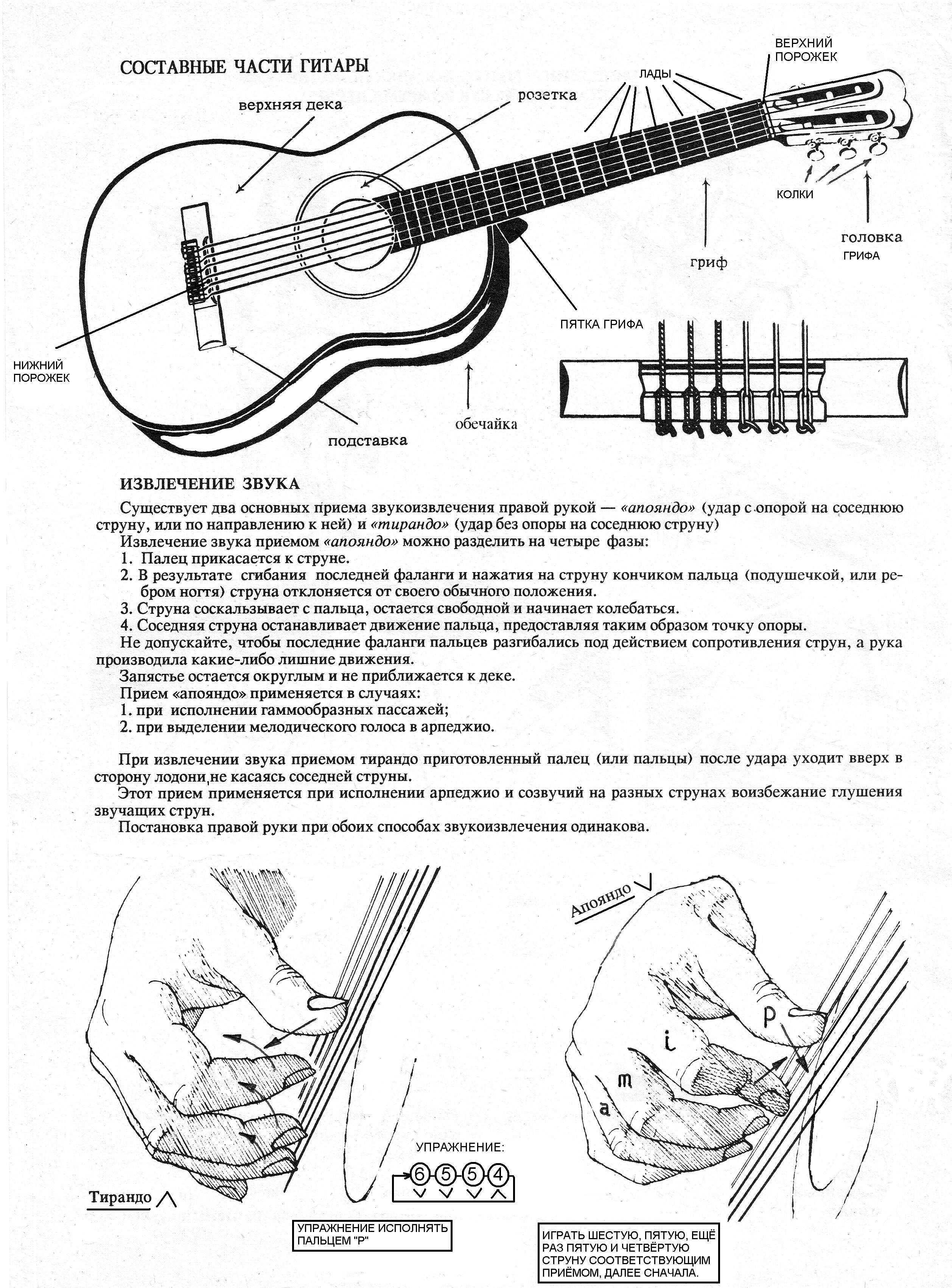 Аккорды для начинающих с пальцами. Лады на 6 струнной гитаре для начинающих. Схема струн на гитаре для начинающих 6. Настройка акустической гитары схема. Схема гитары классической 6 струнной.