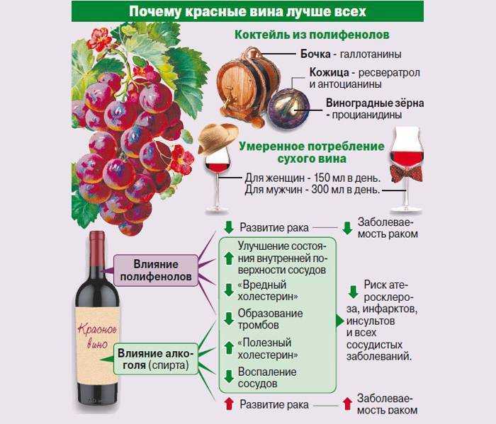 15 причин пить вино каждый день – red health