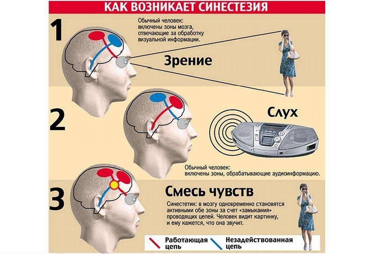 2.3. музыкальный слух, его виды. основы музыкальной психологии