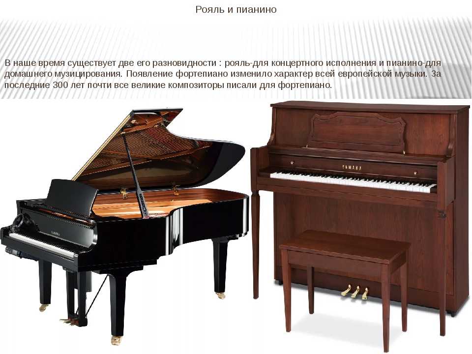 Чем отличается пианино от фортепиано: общие вопросы