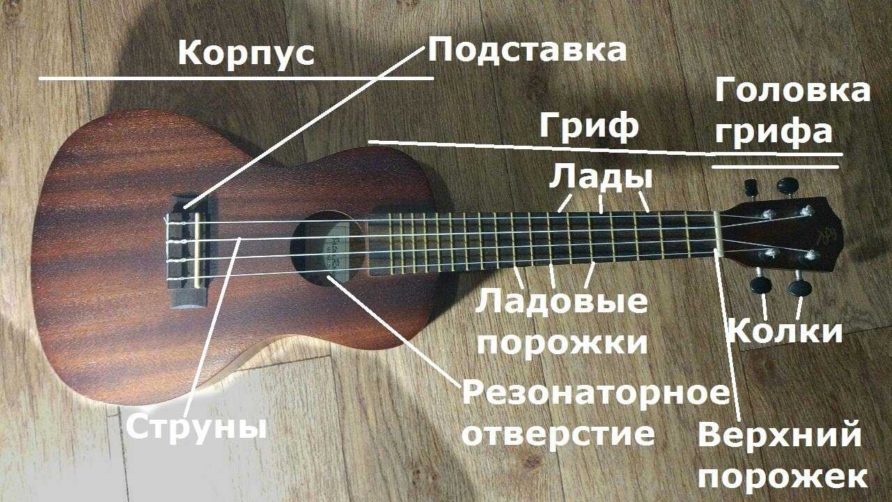 Виды струн и их влияние на звук гитары — gtars.ru
