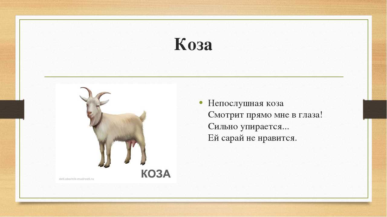 Бабушкин козлик русская народная песня текст