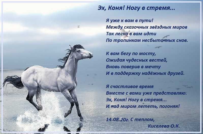 Слова песен три коня. Стихи про лошадей. Стих про коня. Стихотворение про лошадь. Стихи про лошадей красивые.