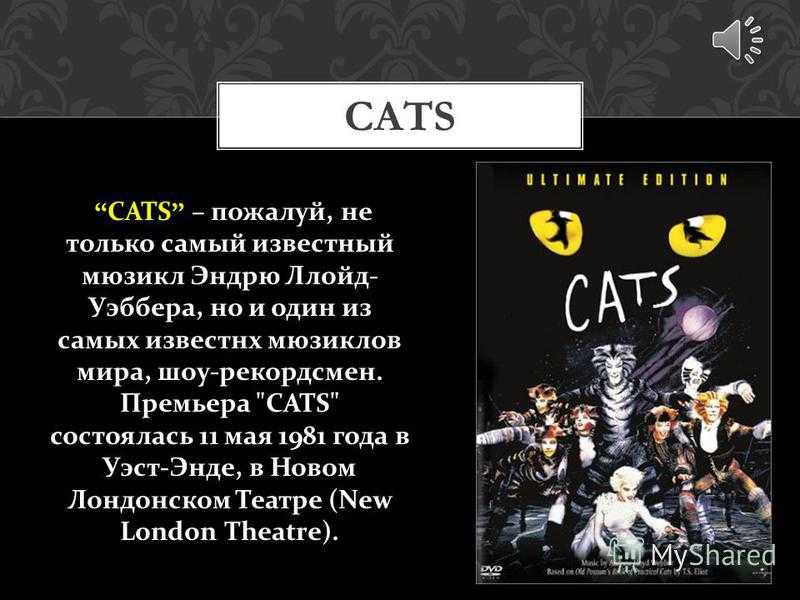 Мюзикл стихи. Либретто кошки мюзикл Эндрю Ллойд Уэббер. Либретто мюзикла кошки. Презентация по мюзиклу. Презентация на тему мюзикл кошки.