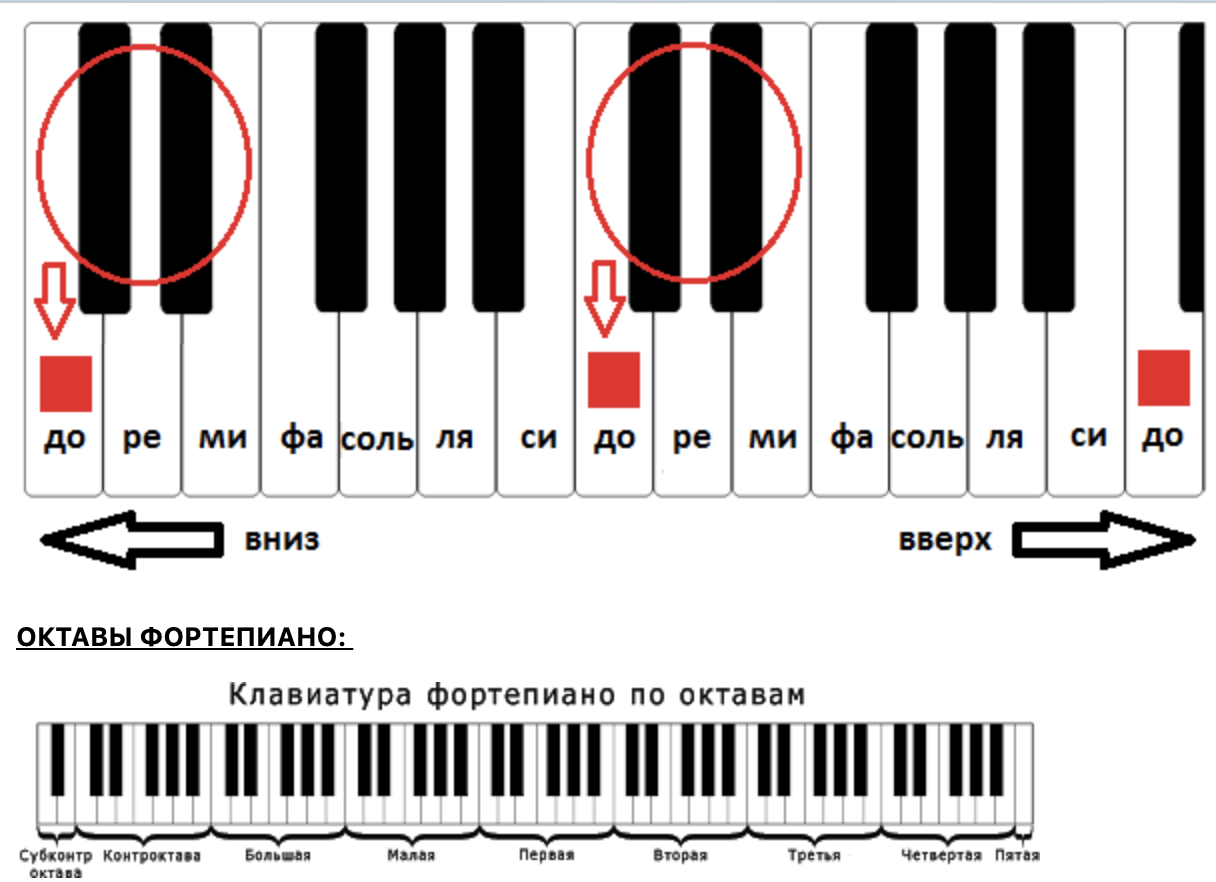Читаем ноты для начинающих. Как учить Ноты на синтезаторе. Как выучить Ноты на пианино. Изучение нот на пианино для начинающих. Изучить Ноты на синтезаторе.