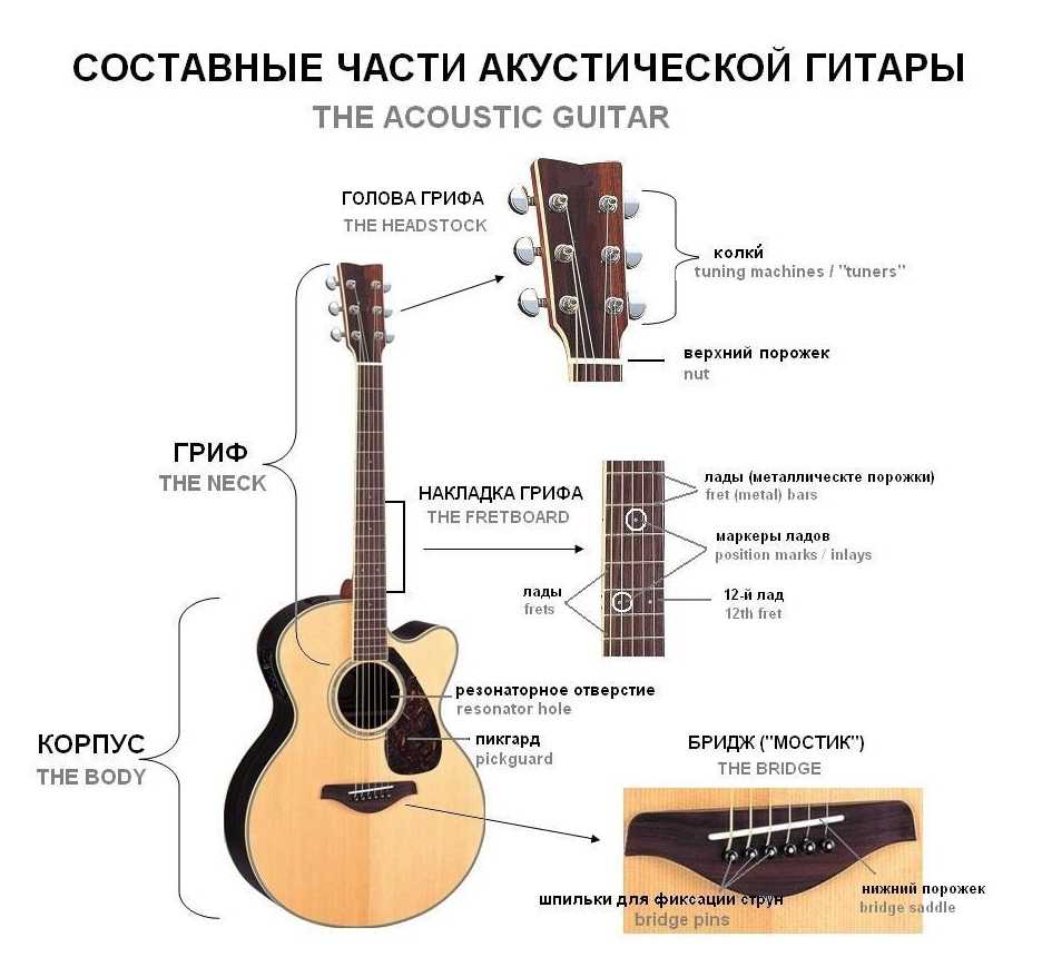 Гитара для ребенка: как выбрать по возрасту, типу, размеру - все о гитаре