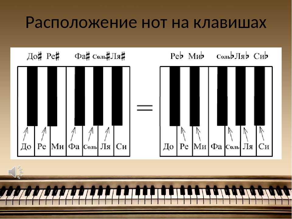 Читаем ноты для начинающих. Ноты и октавы на синтезаторе 61 клавиша. Расположение нот на синтезаторе 61 клавиша. Расположение клавиш на пианино. Расположение клавиш на фортепиано.