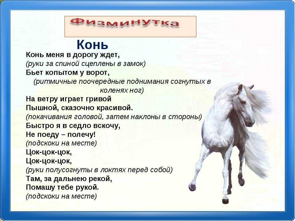 Русские народные песни кони. Физминутка про лошадь. Конь слова. Физминутка лошадка. Загадки про коней и лошадей.