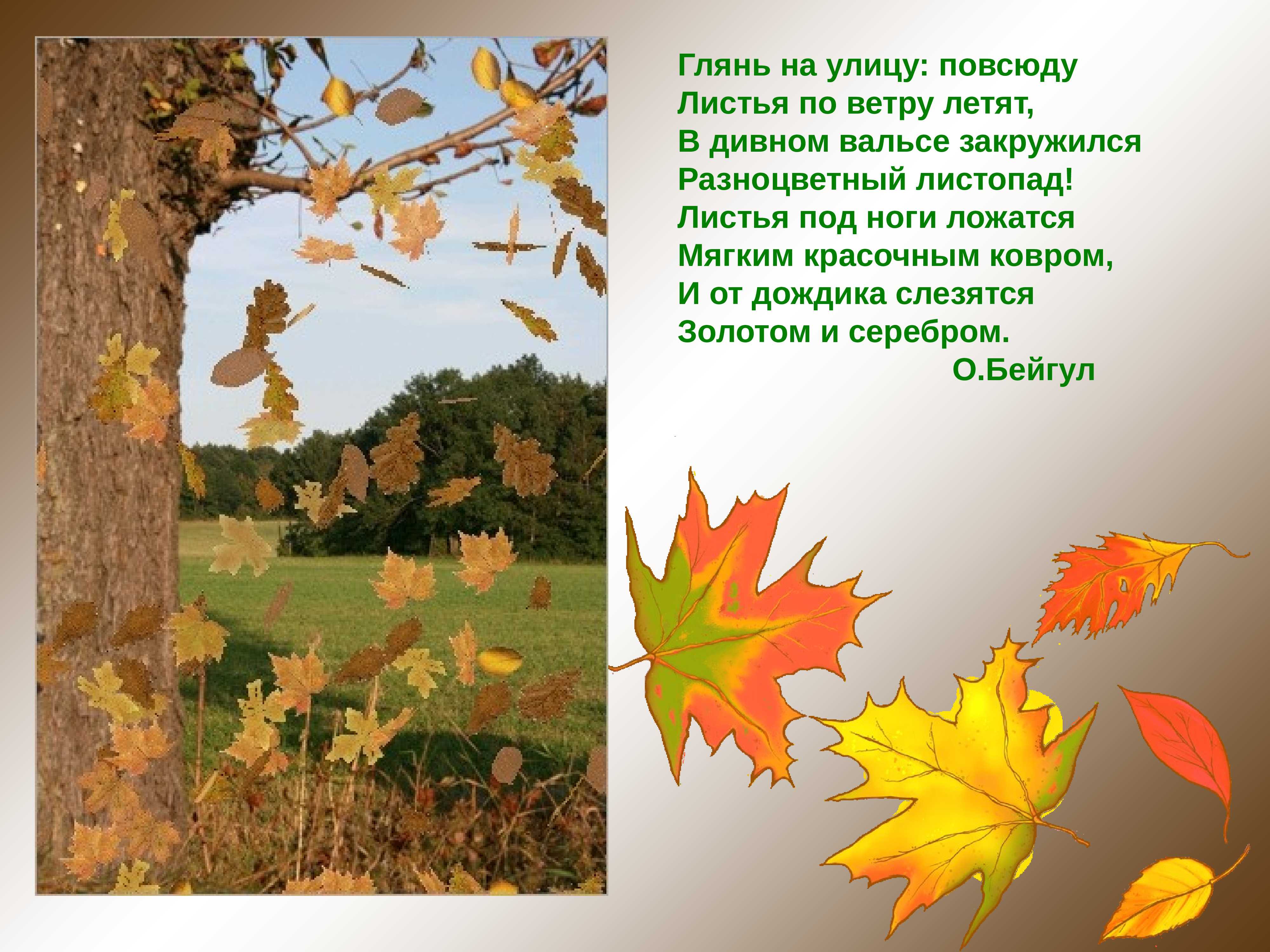 Осенние листья песня. Листопад для дошкольников. Стихи про осенние листья. Стихи про осенние листочки. Стих листопад.