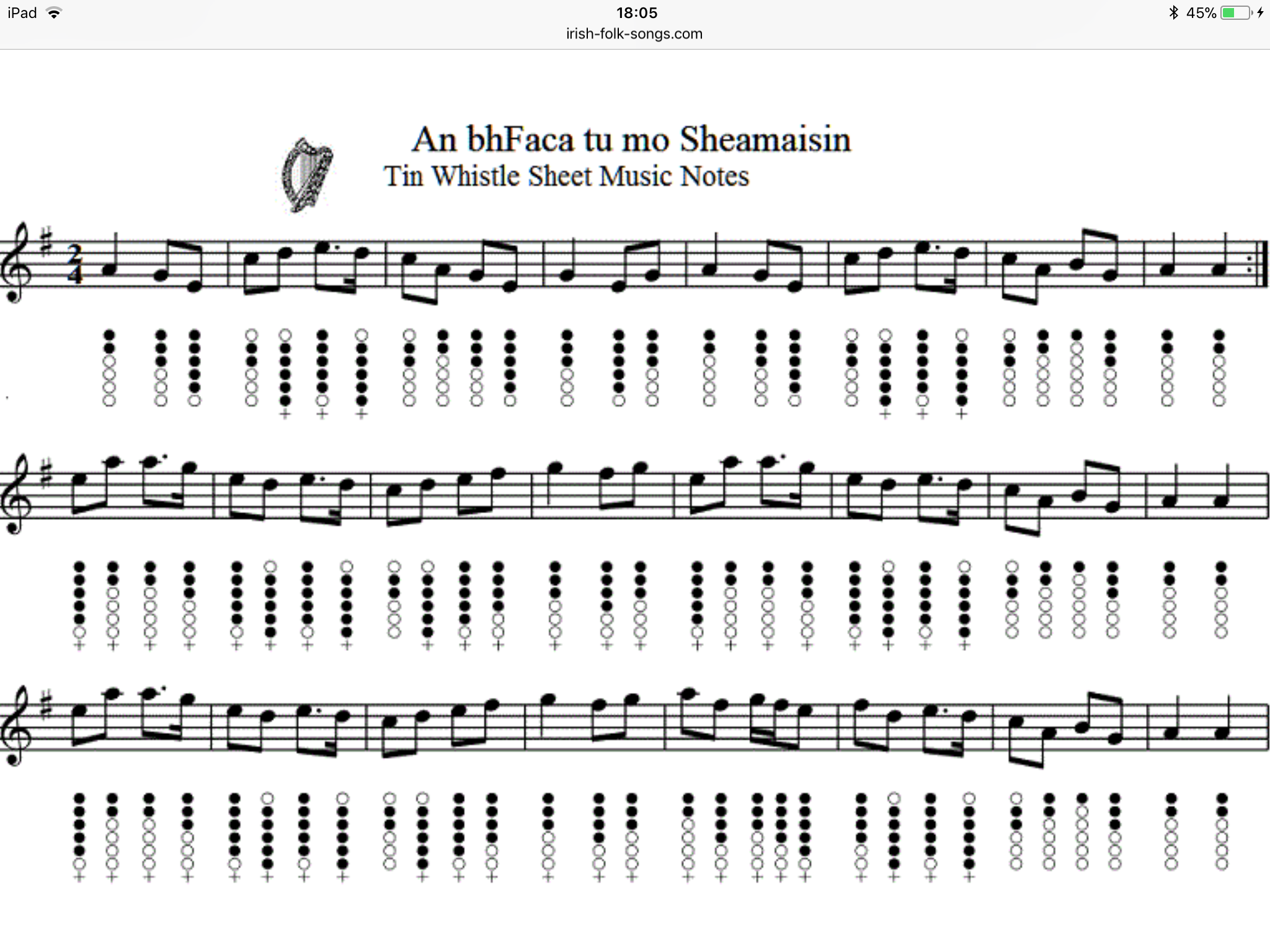 Вистл – ирландская продольная флейта с 6 отверстиями История инструмента и его разновидности Основы игры на вистле: постановка руки, звукоизвлечение, артикуляция
