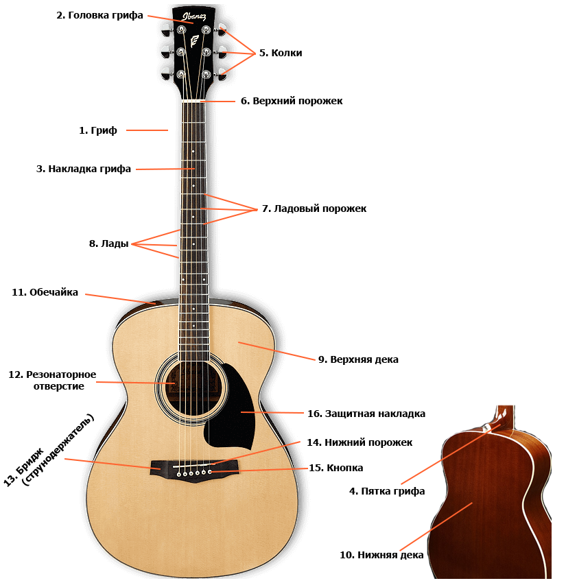 Звук настройки струн. Из чего состоит гриф классической гитары. Гитары ширина грифа 5.1 акустика. Схема устройство деки акустической гитары.